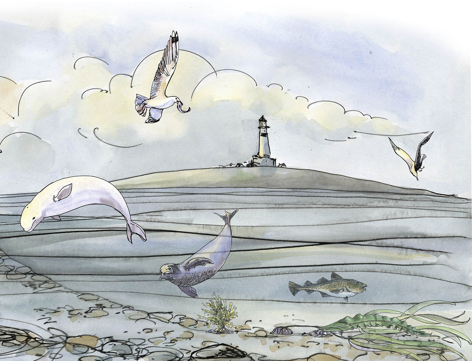 Социальные сети музея